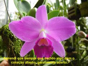 atena